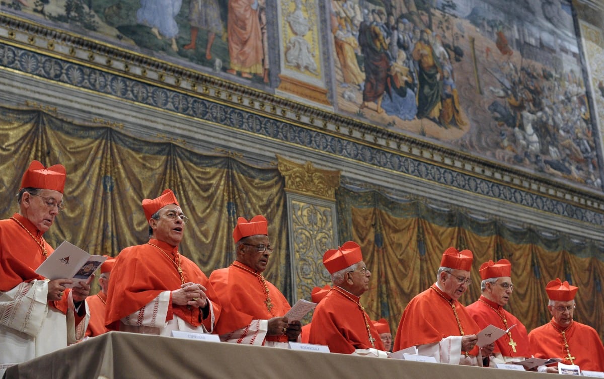 15 potential successors to Pope Francis